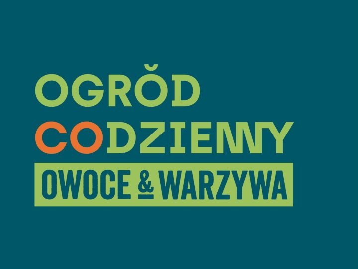 Nowe, zielone miejsce na mapie Warszawy –  Ogród Codzienny przed budynkiem Wola Parku