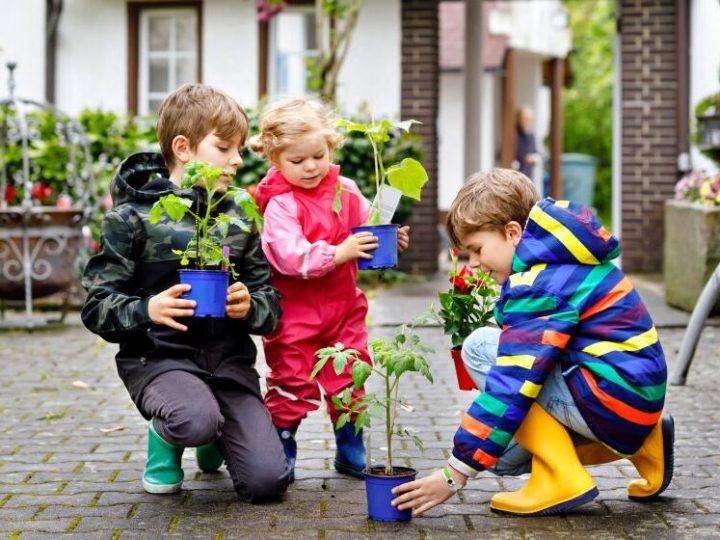 Zaangażuj dziecko do uprawy roślin.